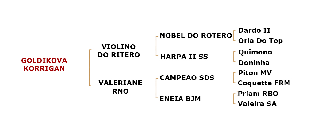 genealogie goldikova