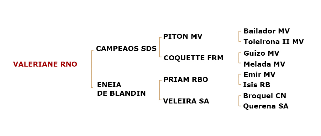 genealogie-valeriane