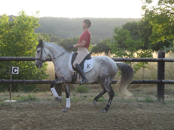 ecuries-le-gall-pierrerue-chevaux-goldikova-korrigan-2025