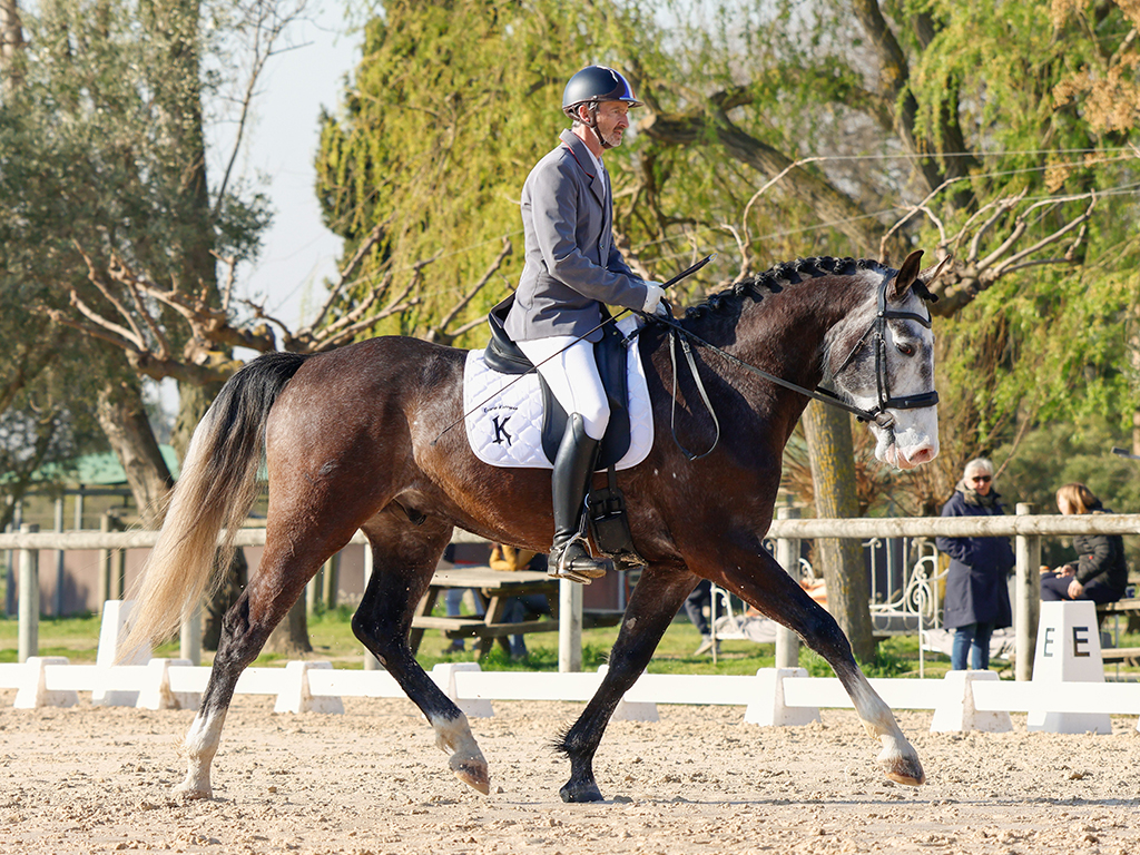 03-ecuries-le-gall-pierrerue-cheval-tlord-doreal-concours